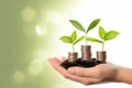 picture of hand holding some stack of coins with plant growing generative AI Royalty Free Stock Photo