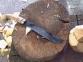 A picture of hand machete for cutting coconut