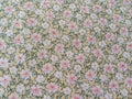 Handrawn Floral Pattern