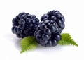 A picture of a heap of ripe, juicy, natural blackberries, isolated on a white background