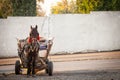 Gypsy horse cart used for garbage collection and recycling parked in the streets of belgrade, Serbia.