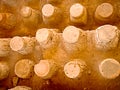 The hypocaust of the Western Bathhouse, Scythopolis Beth-SheÃ¢â¬â¢an, Israel