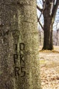 Initials engraved in a tree