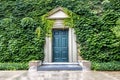 Ivy growing on the side of a house near the front door Royalty Free Stock Photo