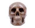 Picture Jasper realistic crystal carved skull isolated on white Royalty Free Stock Photo