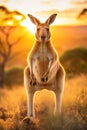 A picture of a kangaroo hopping through the grasslands or a giraffe stretching its neck to reach l Royalty Free Stock Photo