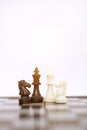 Picture of kings and horse pawns on the chess board Royalty Free Stock Photo