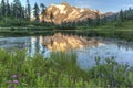 Picture Lake Wildflowers and Mt. Shuksan Royalty Free Stock Photo