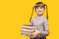 Picture of little cheerful girl with funny pigtails holding school books against yellow background Royalty Free Stock Photo