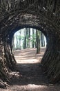 The Wood tunnel Royalty Free Stock Photo