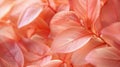 Picture a macroshot where the natural elegance of leaves is depicted in a soothing peach fuzz color tone, providing a detailed and