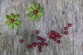 Picture made of leaves and berries