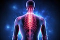 A picture of a man's back with a highlighted spine. This image can be used for medical or educational purposes