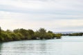 Strange forests that grow on the water. Mangrove forest, Qeshm Island, Iran Royalty Free Stock Photo