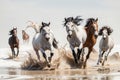 Many horses running. Royalty Free Stock Photo