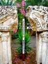 May Peace Prevail On Earth, Capernaum, Galilee, Israel