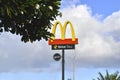 Picture of Mc Donalds restaurant logo in the middle of tropical plants.