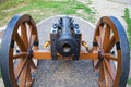 Old cannon Royalty Free Stock Photo