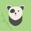 The picture is a minimal black and white bear or panda with green bamboo and leaves. Vector illustration isolated on a