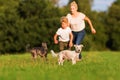 Mother runs with her boy and two small dog on a meadow Royalty Free Stock Photo
