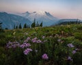 Mount Rainier with Wildflowers during Sunrise at Washington Royalty Free Stock Photo