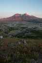 Mount St. Helens Sunset and Wild Flowers