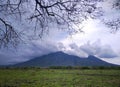 A picture of mountain with a dry tree silhouette Royalty Free Stock Photo