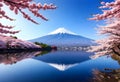 a picture of a mountain with sakura flowers and reflection on the lake Royalty Free Stock Photo