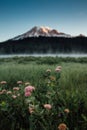 Mt Rainier and Wildflowers at Reflection Lakes Sunrise