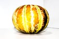 A picture of muskmelon with Selective focus , Royalty Free Stock Photo