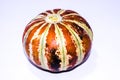 A picture of muskmelon with Selective focus , Royalty Free Stock Photo