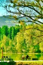 A vertical format landscape Image of Nature in Austrian Park Lake.