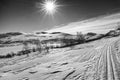 a beautiful winter impression in Norway on a sunny day in black and white