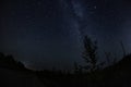 Picture of nightly sky with stars and trees