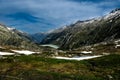 Grimsel Pass Nature View