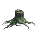 Picture of an old stump hand painted in watercolor on a white background. Watercolor realistic illustration. Tree cut