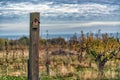 Picture of old wooden bird house with dramatic blue sky ath the background Royalty Free Stock Photo