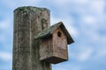 Picture of old wooden bird house with dramatic blue sky ath the background Royalty Free Stock Photo