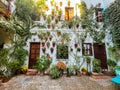 Picture of one of the most famous Cordovan gardens, also known as `Patio CordobÃÂ©s`