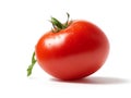 picture of one tomato placed on a white background Royalty Free Stock Photo
