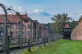Auschwitz Fences III