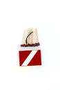 Picture of open matches with one burnt matchstick and box Royalty Free Stock Photo