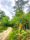 Orange road closed sign in the woods Royalty Free Stock Photo