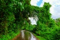 Overgrown road on Oahu, Hawaii Royalty Free Stock Photo
