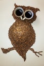 Picture of an owl made of coffee beans
