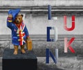 Paddington Bear - LDN UK Text