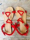 This is a picture of a pair of sandals.