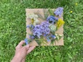 Picture panel made of natural material, flowers and grass, kids craft,