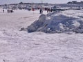 Picture of panoramic view of snow covered field
