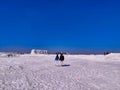 Picture of panoramic view of snow covered field